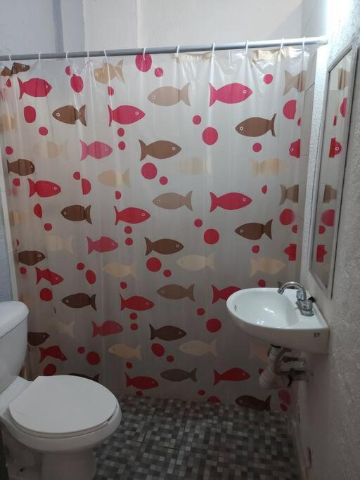 Small Studio Apt 5Min To Dt! Zihuatanejo Exterior foto